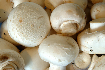 Button mushrooms
