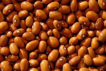 Foto auf Acrylglas General stock - Brown beans © Richard