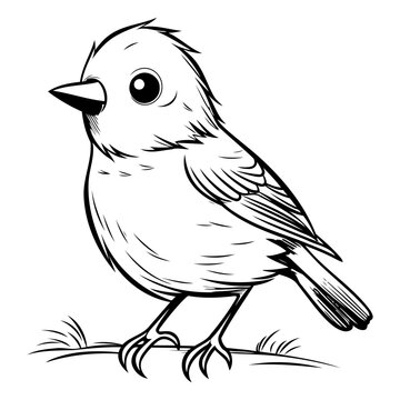 recommend clip art: Finch - Black and White Cartoon Illustration. Isolated on White Background