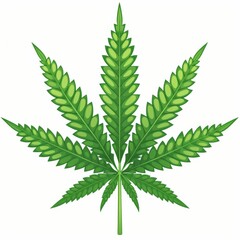 Vector illustration of cannabis plant leaf. - obrazy, fototapety, plakaty