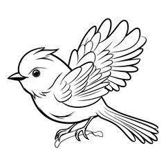 Illustration of a small bird on a white background