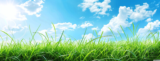 Beautiful green grass with blue sky and clouds banner