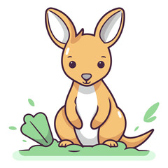 Cute kangaroo sitting on the grass.