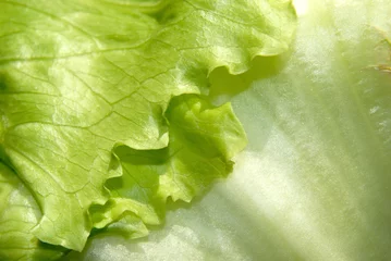 Foto op Canvas Iceberg lettuce. © Richard
