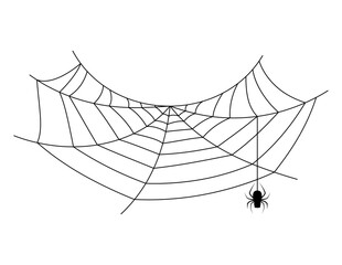 spider web, halloween spiderweb and spider hanging