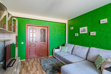 standard interior apartment. living room with sofa