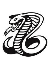 black and white snake