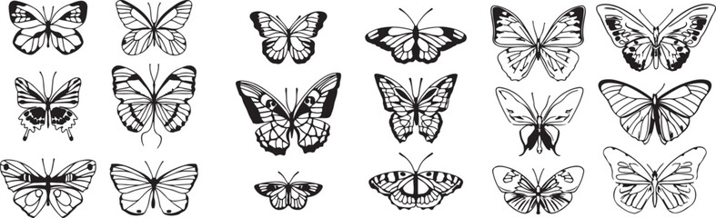 set of plants butterfly vector file design 