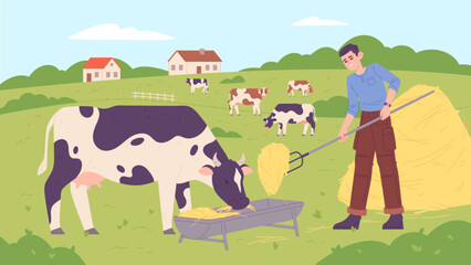 Farmer feeding cows. Rural countryside scene illustration © ssstocker