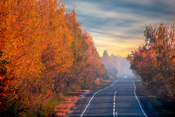 Obraz premium Asphalt road among bright autumn forest.
