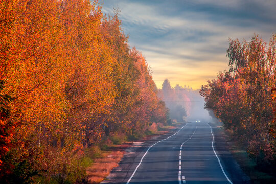 Asphalt road among bright autumn forest.