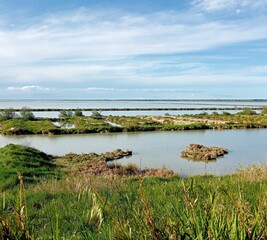 view of the coast, Comacchio, Ravenna, delta, laguna