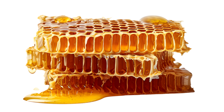 Fresh honeycomb, honey products by organic natural ingredients concept isolated on transparent background