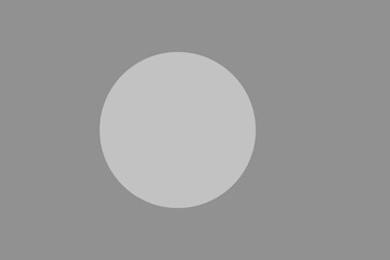 Palau flag - greyscale monochrome vector illustration. Flag in black and white