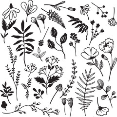 Botanical floral greenery set of isolated plant element hand draw clip arts, stickers