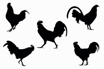 Set of silhouettes of Cock black vector illustration