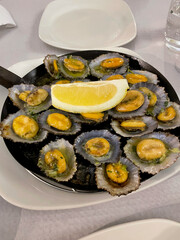 Cooked Lapas limpets mussels with garlic, herbs and lemon on a plate close up