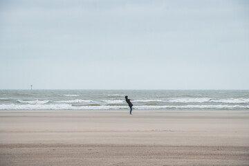 Fototapeta na wymiar Man walks on a sandy beach in the face of high winds near Blankenberge, west coast of Belgium. Exploring and discovering Belgium