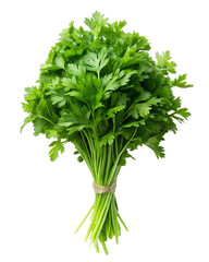 photo bunch of parsley