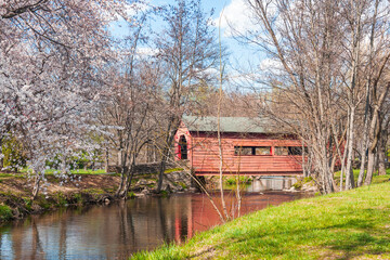 Carroll Creek Covered Bridge during cherry blossom season in the  Baker Park.Frederick.Maryland