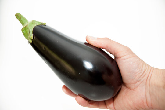 Aubergine / eggplant / Solanum melongena