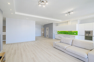 standard interior apartment. living room with sofa