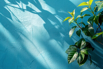 Plant against a blue wall background with copy space.