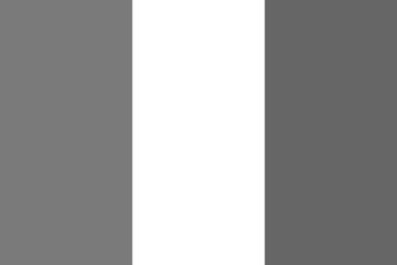 France flag - greyscale monochrome vector illustration. Flag in black and white