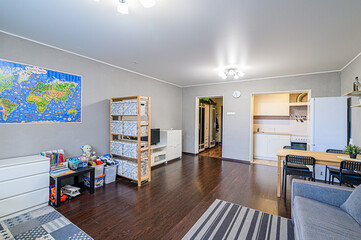 standard interior apartment. living room with sofa