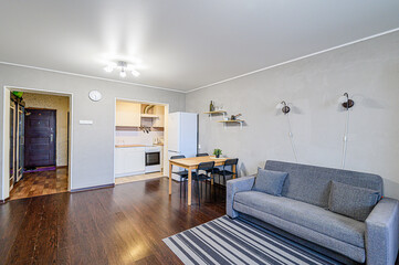 standard interior apartment. living room with sofa