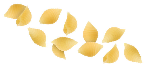 Raw conchiglie pasta flying on white background
