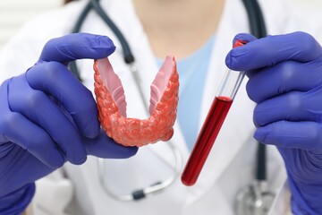 Endocrinologist showing thyroid gland model and blood sample in test tube, closeup