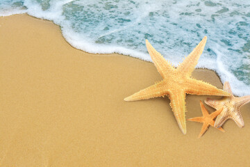 Fototapeta na wymiar Starfishes on sandy beach near sea, space for text
