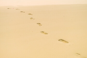 Fototapeta na wymiar Footprints of human feet on the sand near the water on the beach.