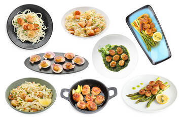 Set of different dishes with scallops isolated on white