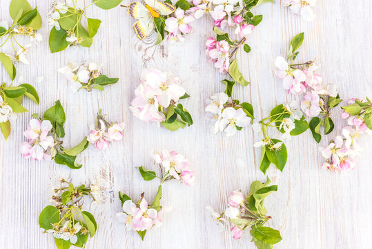 Easter holiday backround with apple and pear flowers on light wooden background