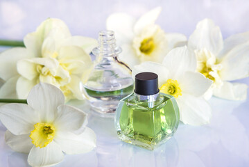 Fototapeta na wymiar Spring holidays concept; fragrance and essential oil concept; vial with essential oil from narcissus flowers on white background