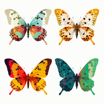 color full butterfly species various ordo family sticker element
