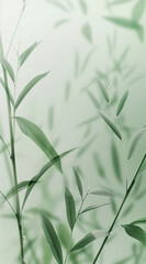 light green plant leaves with a delicate and soothing aesthetic