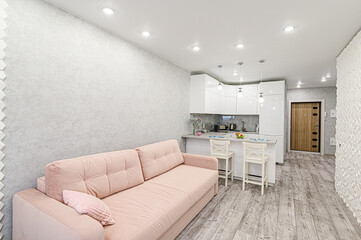 standard interior apartment. living room with sofa