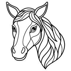 Horse Head  Line Art Vector Illustration