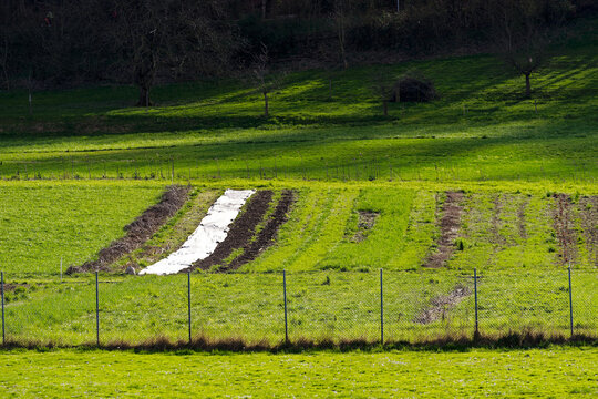 Vegetable field with white cover at Swiss City of Zürich on a sunny spring afternoon. Photo taken March 20th, 2024, Zurich, Switzerland.
