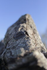 stone on a rock
