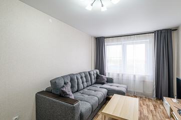 standard interior apartment. living room with sofa