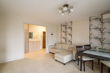 standard interior apartment. living room with sofa