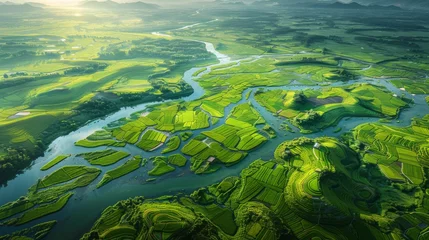 Foto op Plexiglas Aerial View of River Flowing Through Lush Green Countryside © Yana