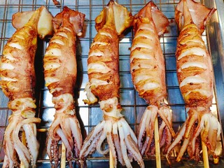 Grilled Squid