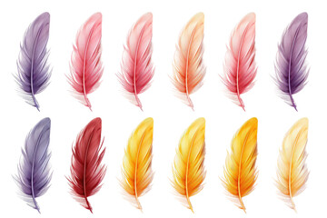 Whimsical Feathers Dance: Vibrant Plumes Adorn a Blank Canvas.
