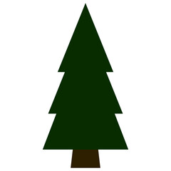 Obraz premium green christmas tree