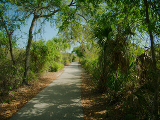 Leading lines down a long straight pathway. Green grass and trees on both sides. Blue sky in the...